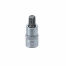 Innenvielzahn Bit Steckschlüssel für XZN M12...